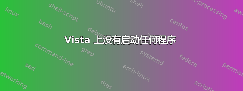 Vista 上没有启动任何程序