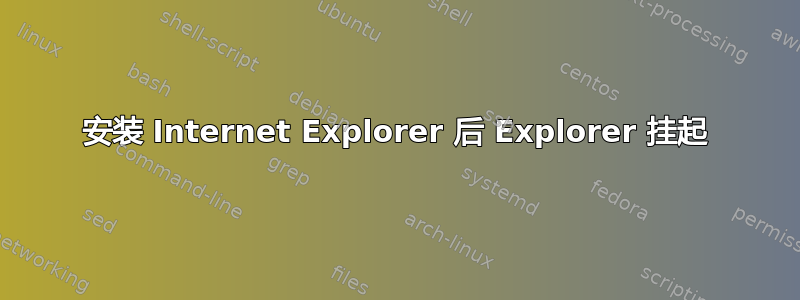 安装 Internet Explorer 后 Explorer 挂起