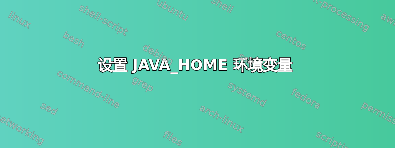 设置 JAVA_HOME 环境变量