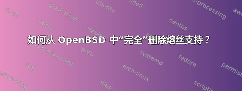 如何从 OpenBSD 中“完全”删除熔丝支持？