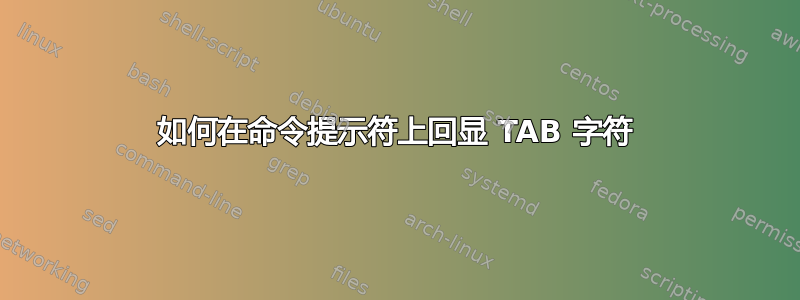 如何在命令提示符上回显 TAB 字符