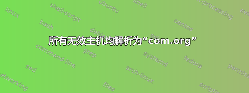 所有无效主机均解析为“com.org”