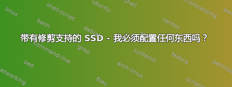 带有修剪支持的 SSD - 我必须配置任何东西吗？