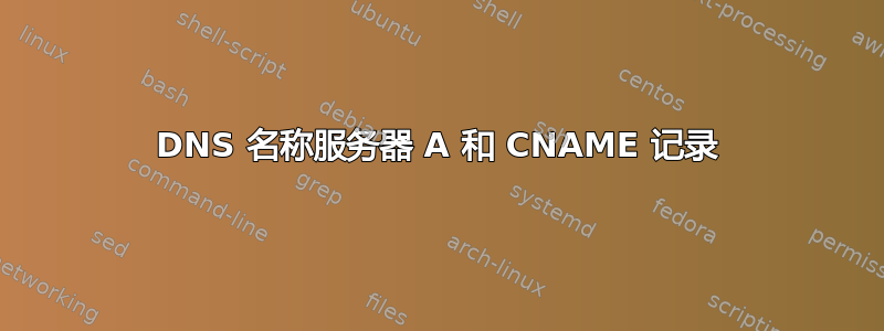 DNS 名称服务器 A 和 CNAME 记录