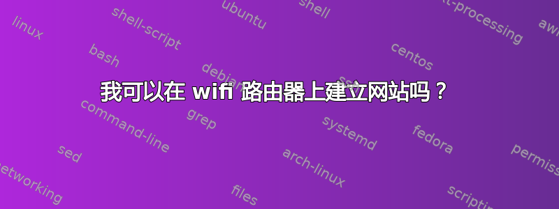 我可以在 wifi 路由器上建立网站吗？