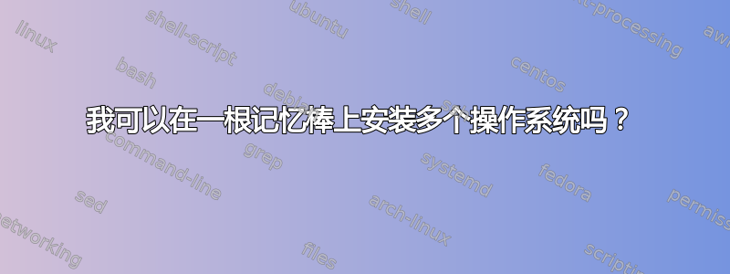 我可以在一根记忆棒上安装多个操作系统吗？