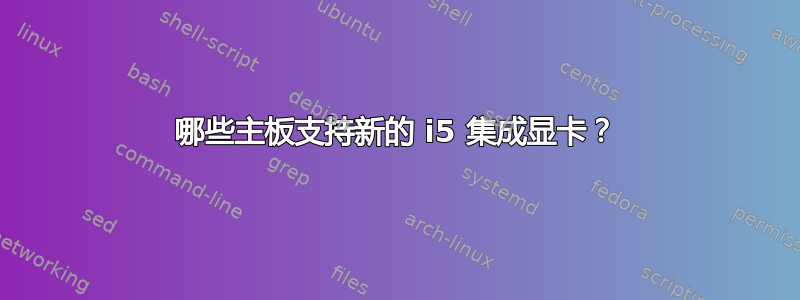 哪些主板支持新的 i5 集成显卡？