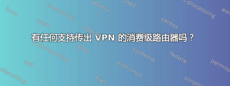 有任何支持传出 VPN 的消费级路由器吗？