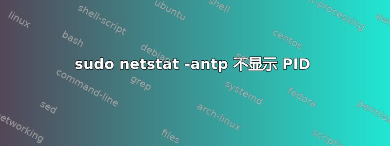 sudo netstat -antp 不显示 PID