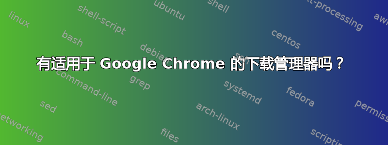 有适用于 Google Chrome 的下载管理器吗？