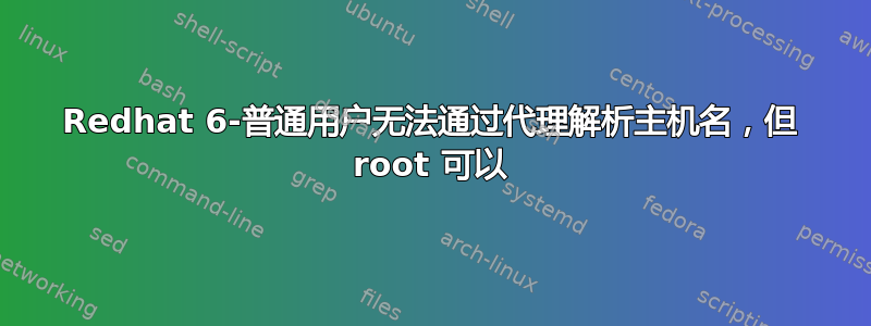 Redhat 6-普通用户无法通过代理解析主机名，但 root 可以