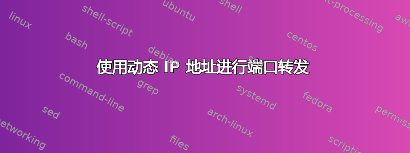 使用动态 IP 地址进行端口转发