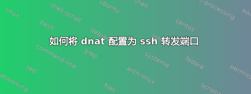 如何将 dnat 配置为 ssh 转发端口