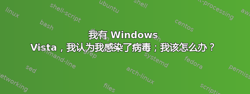 我有 Windows Vista，我认为我感染了病毒；我该怎么办？