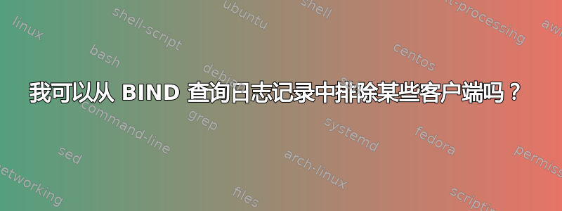 我可以从 BIND 查询日志记录中排除某些客户端吗？