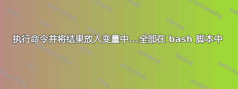 执行命令并将结果放入变量中...全部在 bash 脚本中