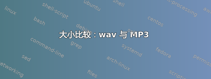 大小比较：wav 与 MP3