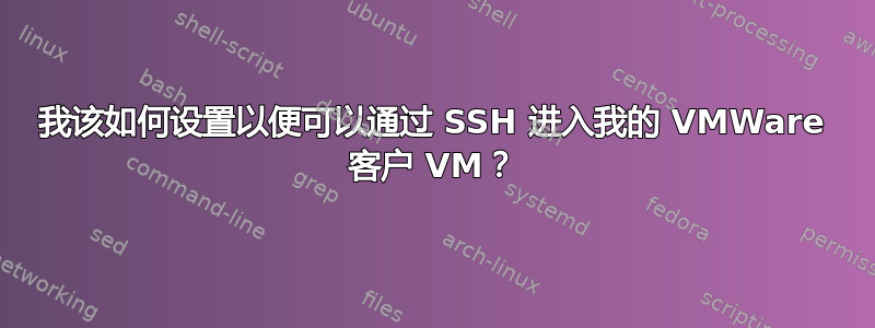 我该如何设置以便可以通过 SSH 进入我的 VMWare 客户 VM？