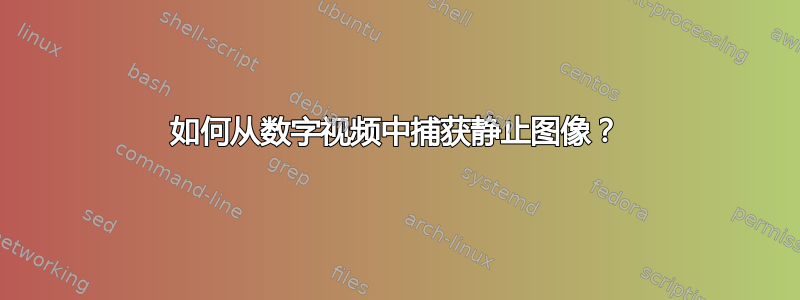 如何从数字视频中捕获静止图像？