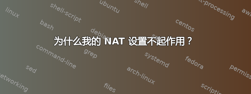 为什么我的 NAT 设置不起作用？