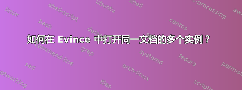 如何在 Evince 中打开同一文档的多个实例？