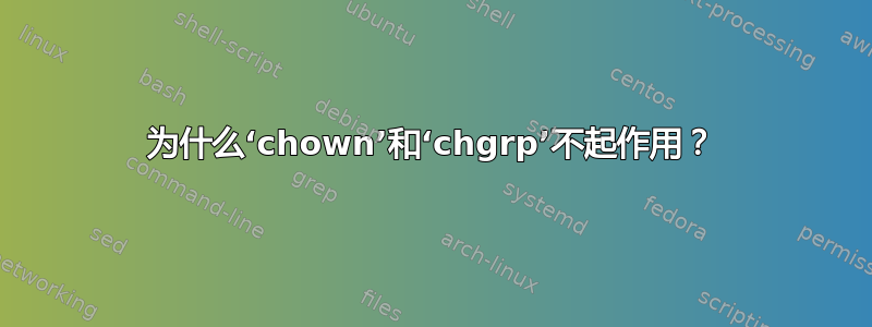 为什么‘chown’和‘chgrp’不起作用？