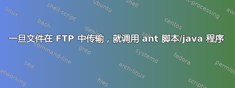 一旦文件在 FTP 中传输，就调用 ant 脚本/java 程序