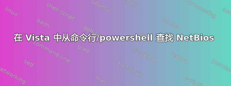 在 Vista 中从命令行/powershell 查找 NetBios