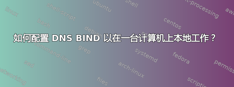 如何配置 DNS BIND 以在一台计算机上本地工作？