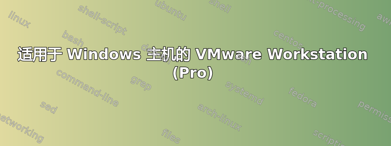 适用于 Windows 主机的 VMware Workstation (Pro)