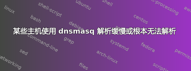 某些主机使用 dnsmasq 解析缓慢或根本无法解析