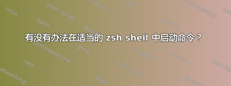 有没有办法在适当的 zsh shell 中启动命令？