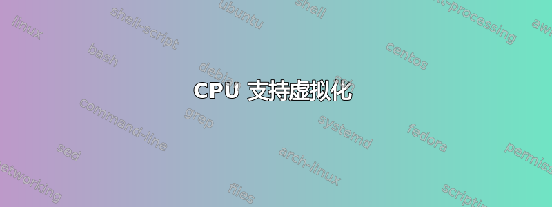 CPU 支持虚拟化