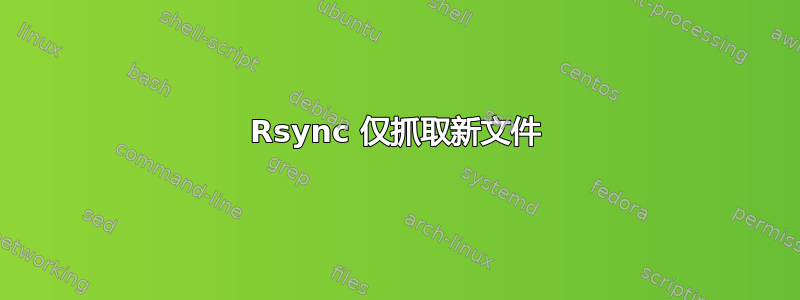 Rsync 仅抓取新文件