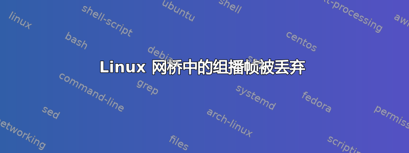 Linux 网桥中的组播帧被丢弃