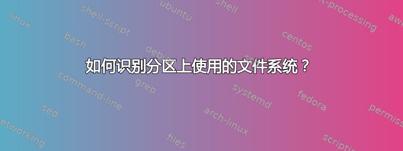 如何识别分区上使用的文件系统？