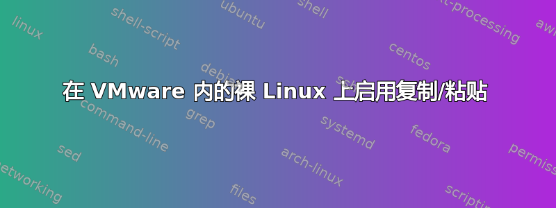 在 VMware 内的裸 Linux 上启用复制/粘贴