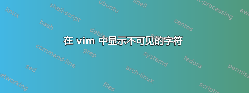 在 vim 中显示不可见的字符