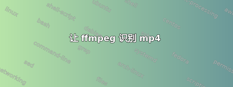 让 ffmpeg 识别 mp4