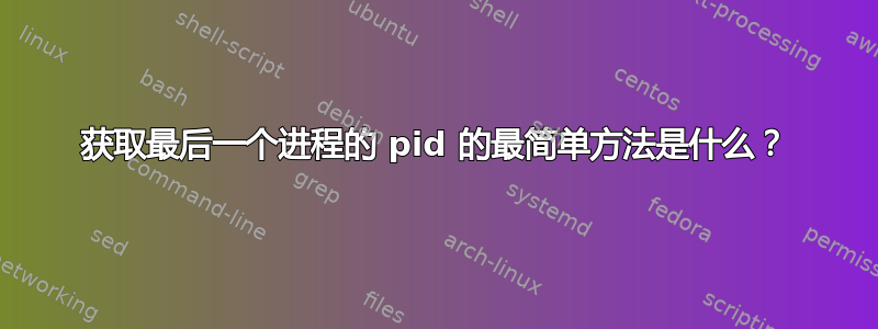 获取最后一个进程的 pid 的最简单方法是什么？