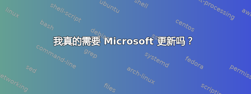 我真的需要 Microsoft 更新吗？