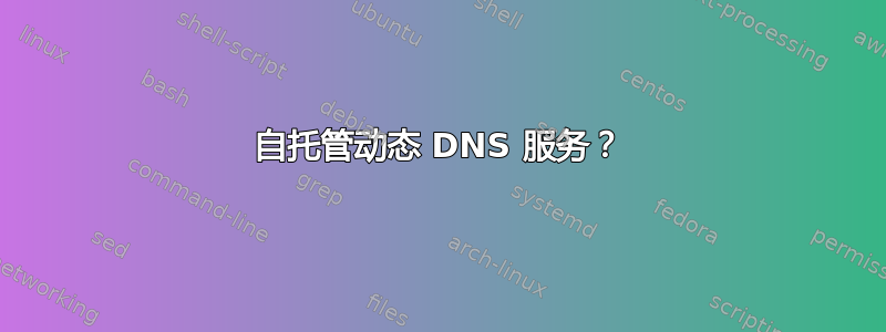 自托管动态 DNS 服务？