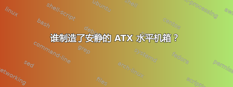 谁制造了安静的 ATX 水平机箱？