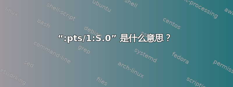 “:pts/1:S.0” 是什么意思？