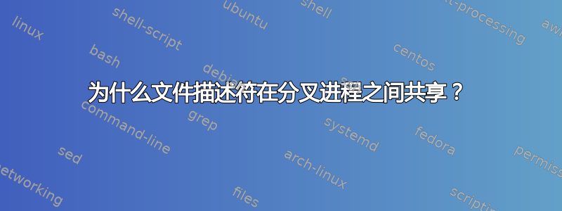 为什么文件描述符在分叉进程之间共享？