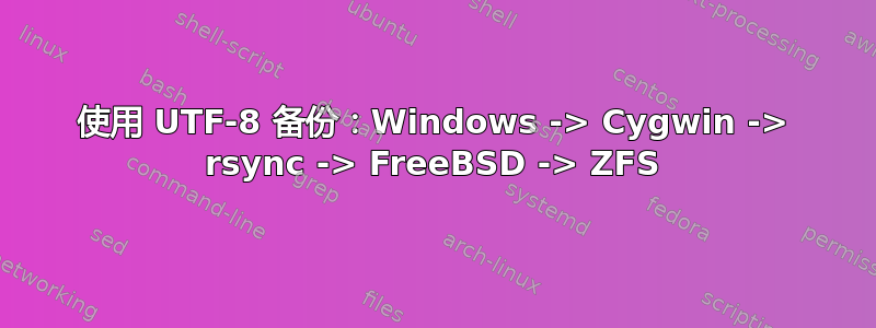 使用 UTF-8 备份：Windows -> Cygwin -> rsync -> FreeBSD -> ZFS