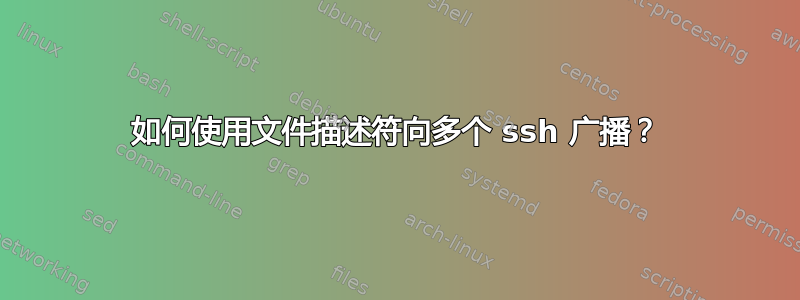 如何使用文件描述符向多个 ssh 广播？