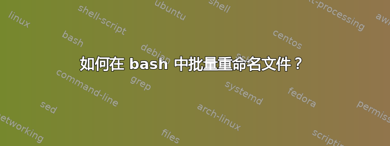 如何在 bash 中批量重命名文件？