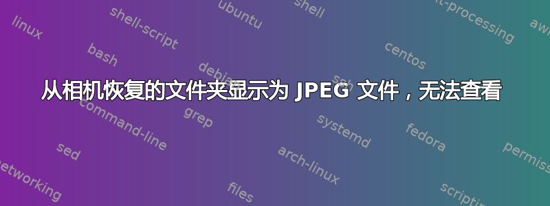 从相机恢复的文件夹显示为 JPEG 文件，无法查看