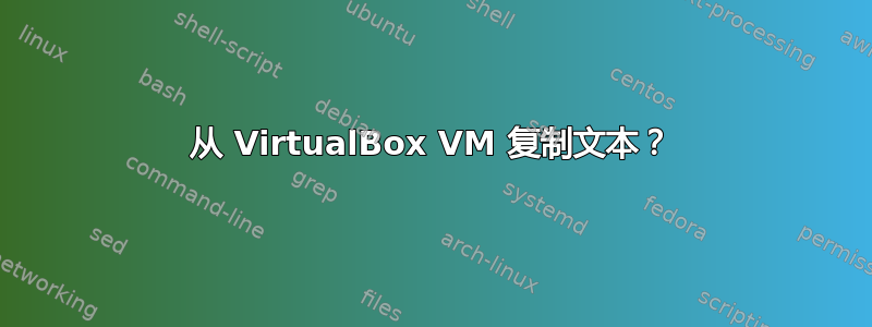 从 VirtualBox VM 复制文本？